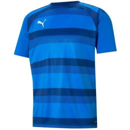 Koszulka Puma teamVision Jersey M 704921 02