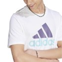 Koszulka adidas Big Logo SJ Tee M IJ8579