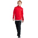 Dres adidas Essentials Big Logo Track Suit Jr IJ6305