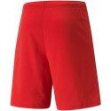 Spodenki Puma teamRISE Short M 704942 01